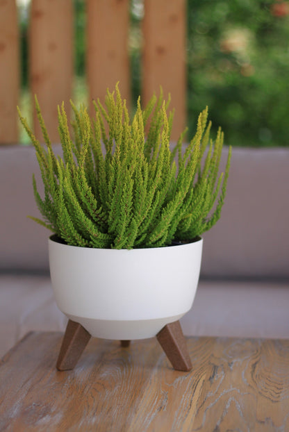 Roma 240mm White Bowl Plant Pot with Legs, Insert & Drain Hole with Plug