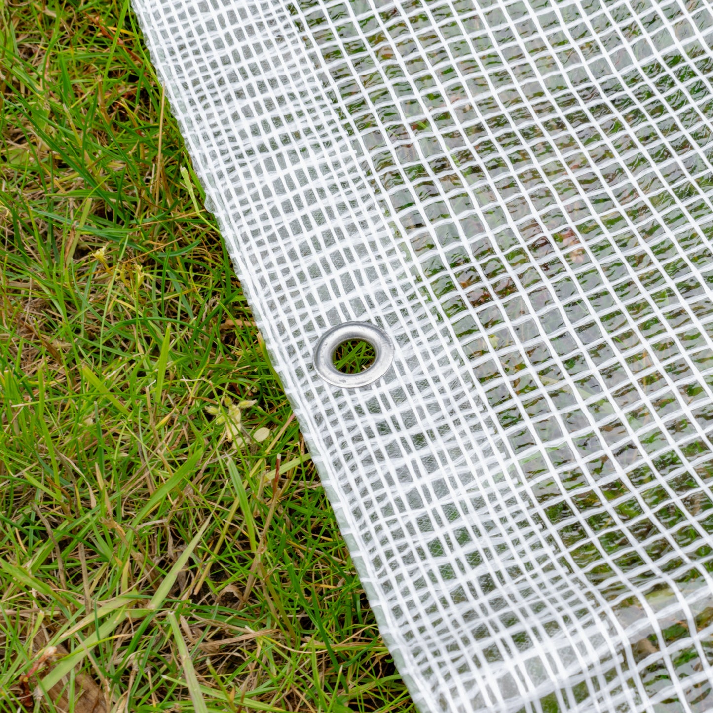 M-Grade Transparent Tarp 8m x 10m
