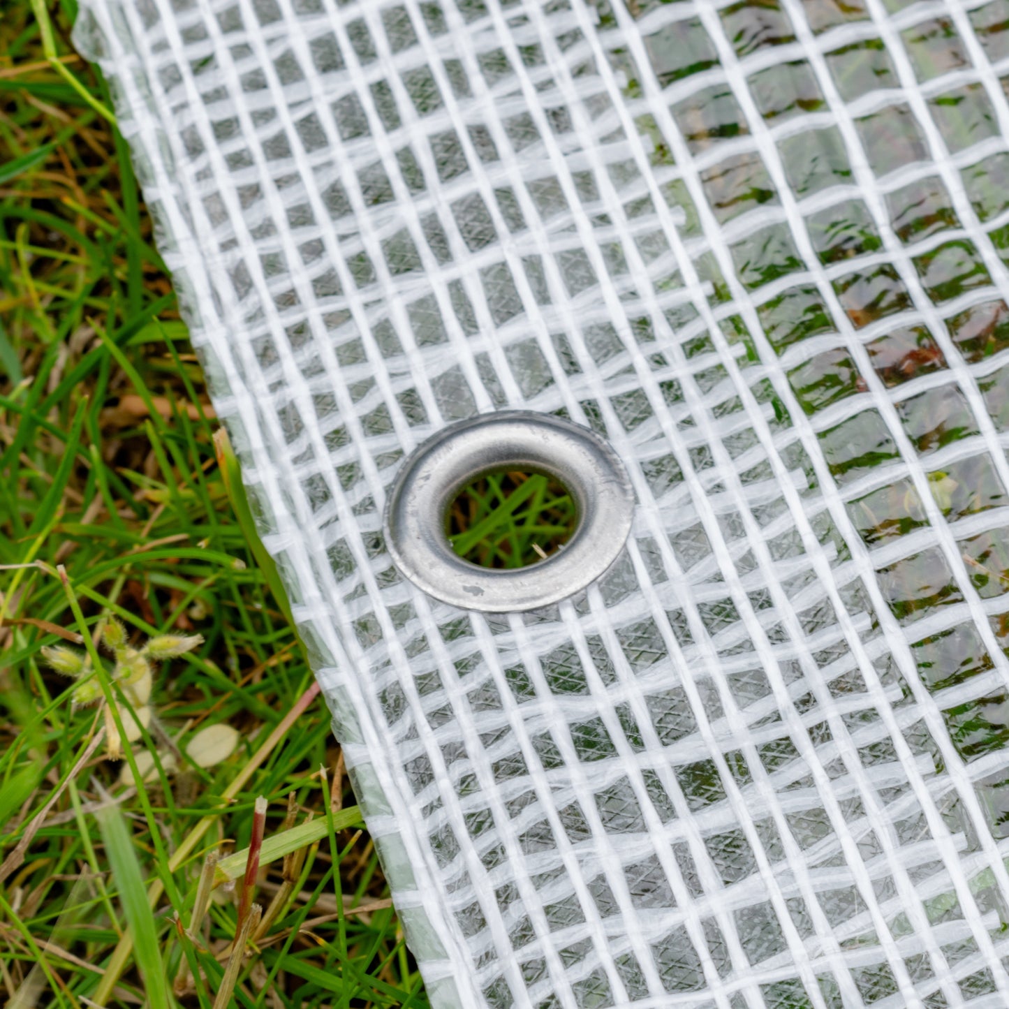 XL-Grade Clear Tarp 3m x 4m