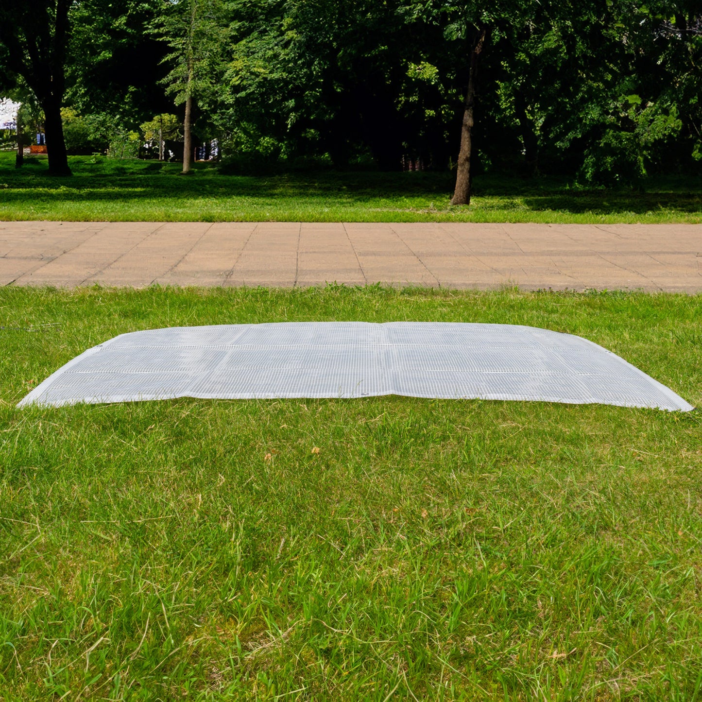 XL-Grade Clear Tarp 6m x 6m