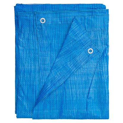 S-Grade Blue Tarp 1m x 1m