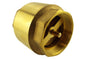 Brass Non-Return Spring Valve 2" BSP Female