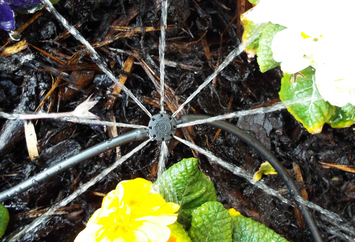 Antelco Shrubbler® 360° In-Line Drip Irrigation Emitter with Ground Spike